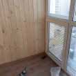Утепление «вторым контуром» - Дачное строительство | Окна, балконы, лоджии